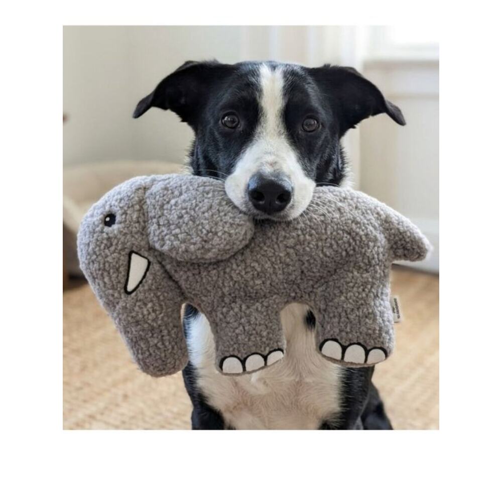 Earl the Elephant Fleece Dog Toy -Durable Double-Stitched Squeaker & Crinkle Toy